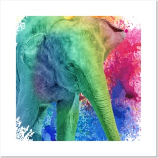 Colorful Elephant Zoo Posters and Art